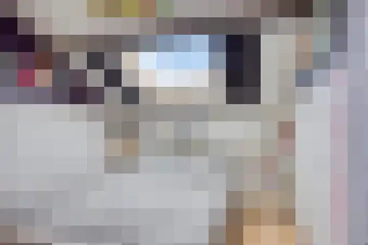 Vossehol 7 Oss thumbnail 35