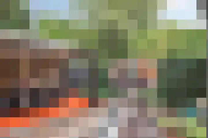 Vossehol 7 Oss thumbnail 40