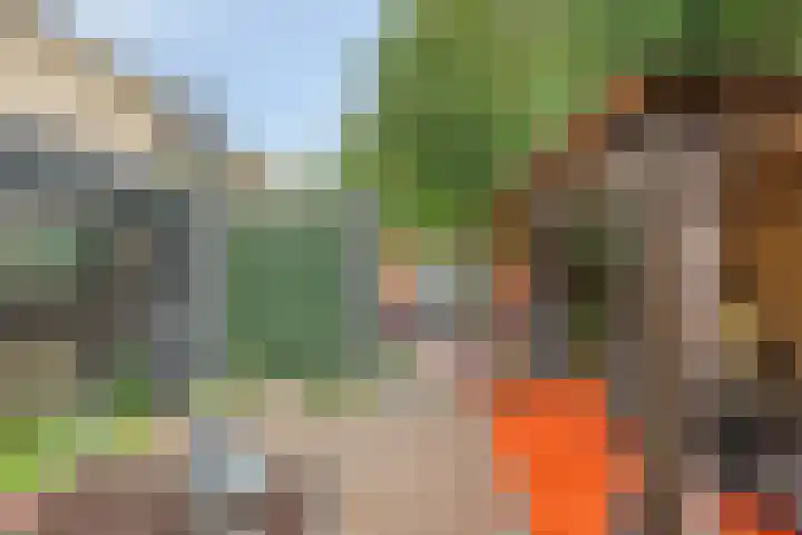 Vossehol 7 Oss thumbnail 42