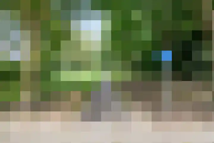 Vossehol 7 Oss thumbnail 45