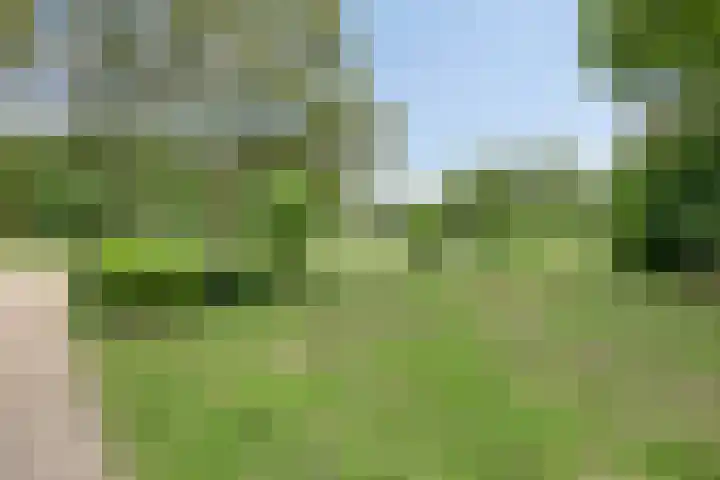 Vossehol 7 Oss thumbnail 46