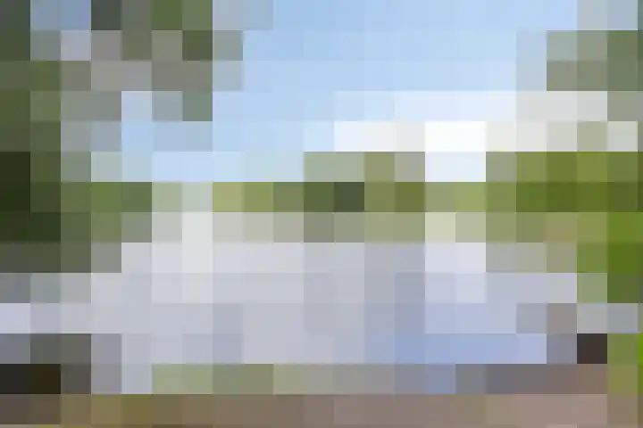 Vossehol 7 Oss thumbnail 47