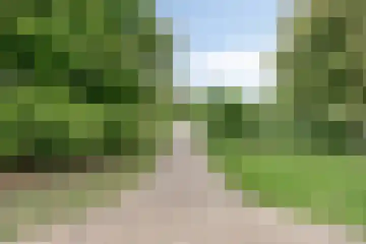 Vossehol 7 Oss thumbnail 48