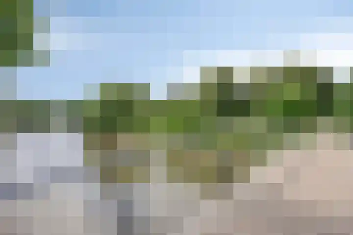 Vossehol 7 Oss thumbnail 49