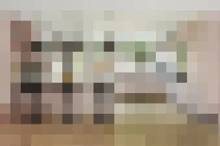 Vossehol 79 Oss thumbnail 12