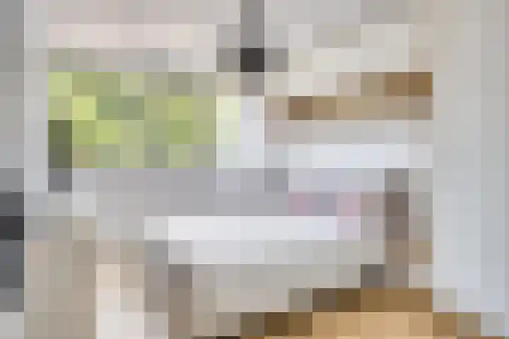 Vossehol 79 Oss thumbnail 14