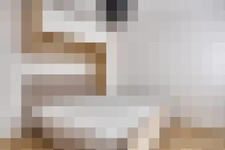 Vossehol 79 Oss thumbnail 16