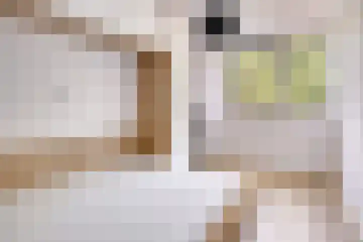 Vossehol 79 Oss thumbnail 17