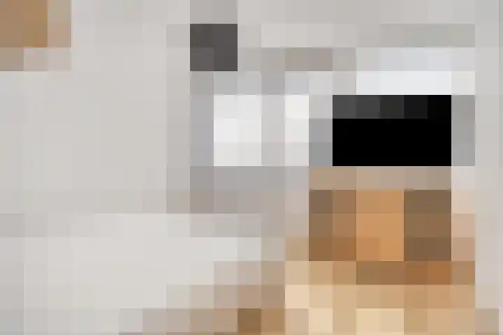 Vossehol 79 Oss thumbnail 19