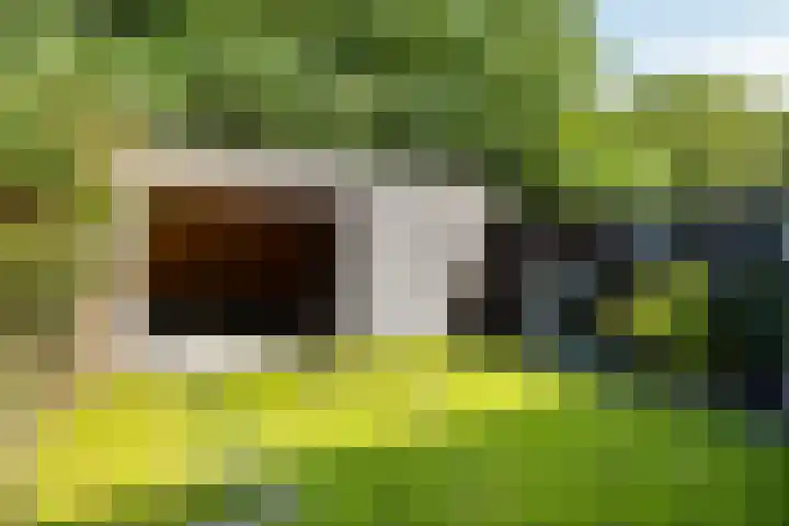 Vossehol 79 Oss thumbnail 22