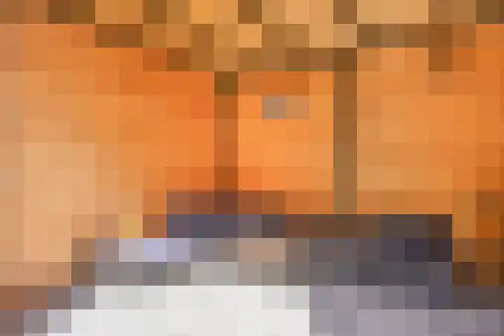 Vossehol 79 Oss thumbnail 23