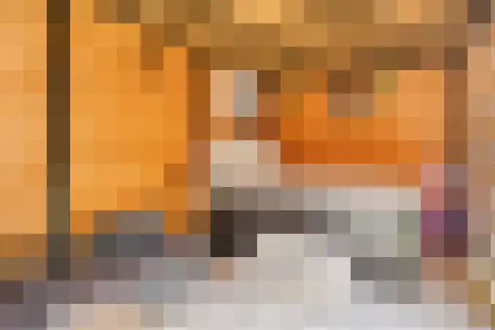Vossehol 79 Oss thumbnail 24