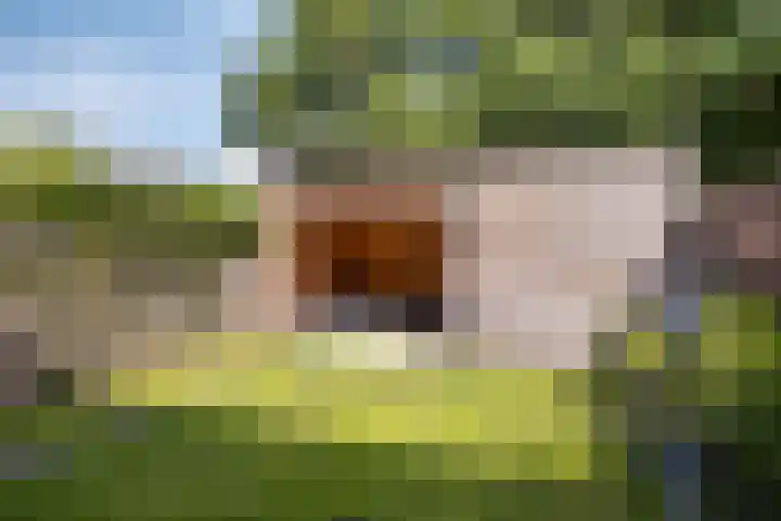 Vossehol 79 Oss thumbnail 25