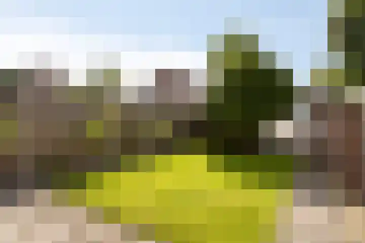 Vossehol 79 Oss thumbnail 27