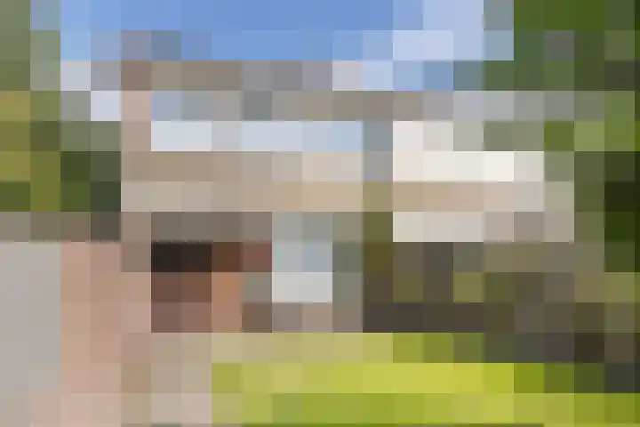 Vossehol 79 Oss thumbnail 28