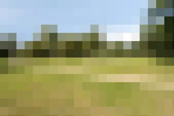 Vossehol 79 Oss thumbnail 32