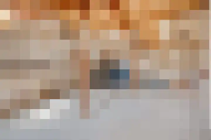Vossehol 79 Oss thumbnail 33