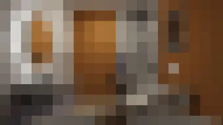 Vossehol 79 Oss thumbnail 35