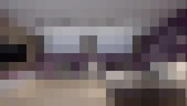 Vossehol 79 Oss thumbnail 36
