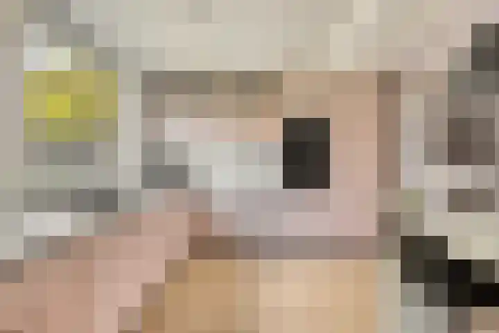 Vossehol 79 Oss thumbnail 4