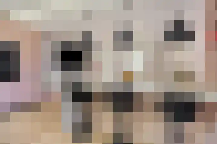 Vossehol 79 Oss thumbnail 8