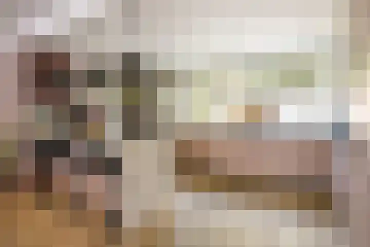Vossehol 79 Oss thumbnail 9