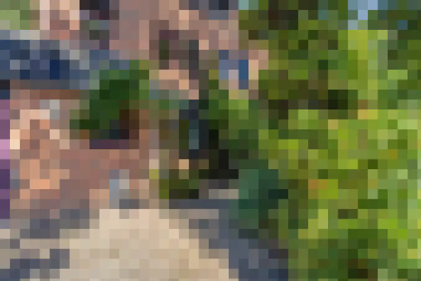 Vossehol 8 Cuijk thumbnail 10