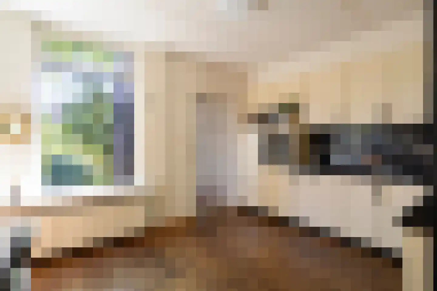 Vossehol 8 Cuijk thumbnail 14