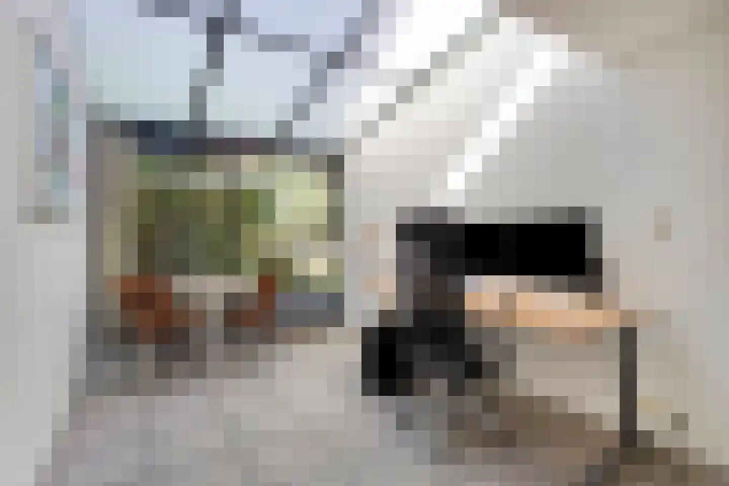 Vossehol 8 Cuijk thumbnail 22