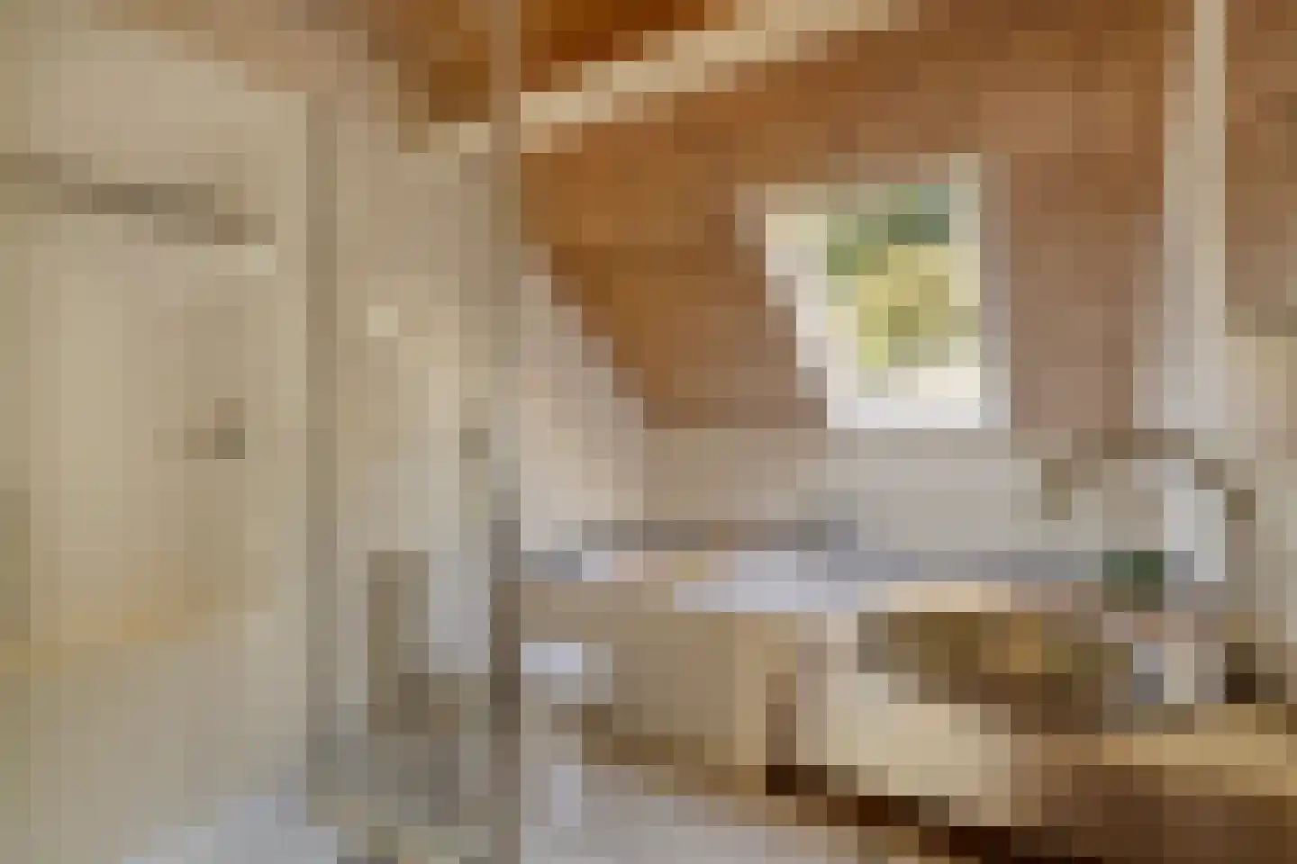 Vossehol 8 Cuijk thumbnail 29