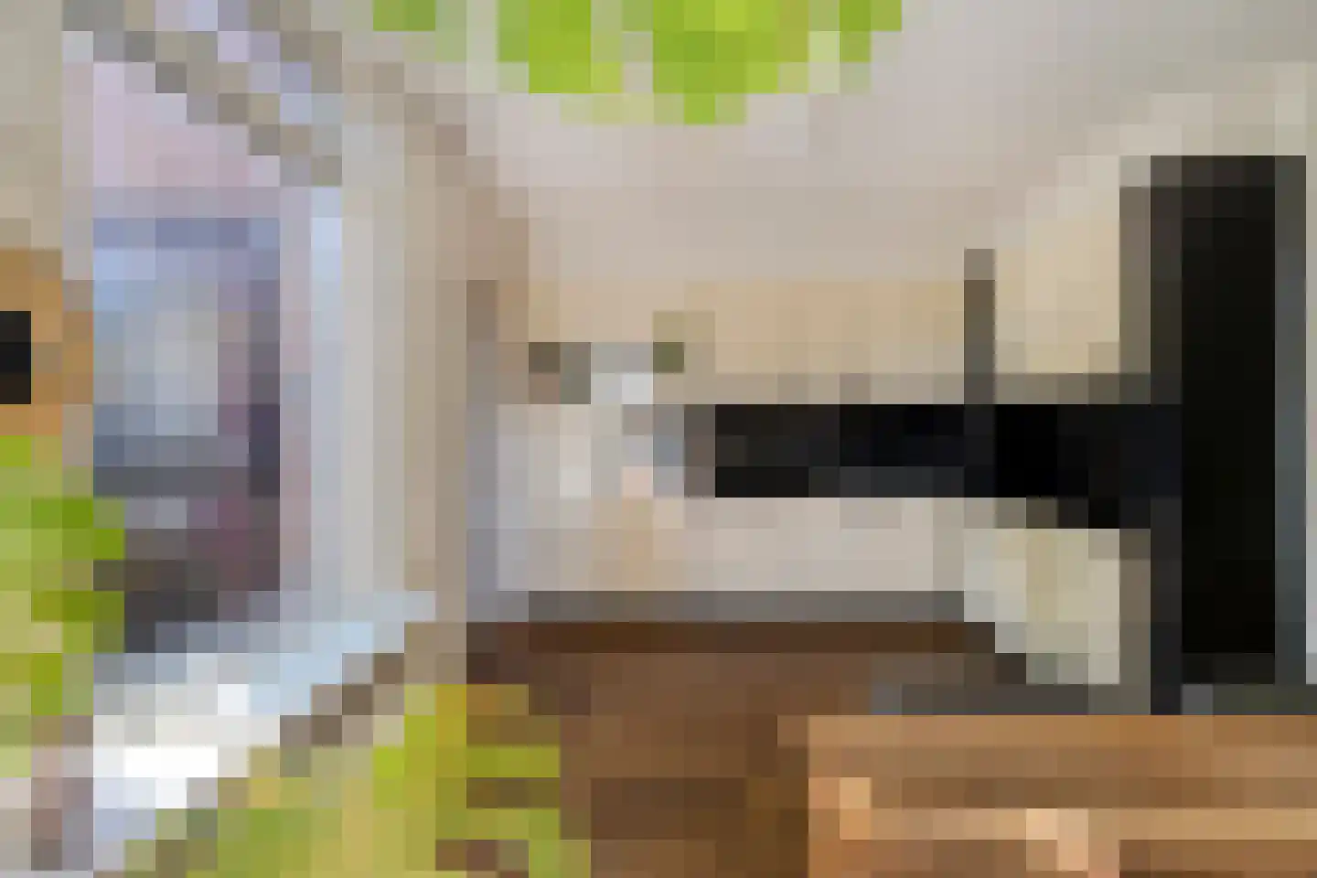 Vossehol 8 Cuijk foto 3