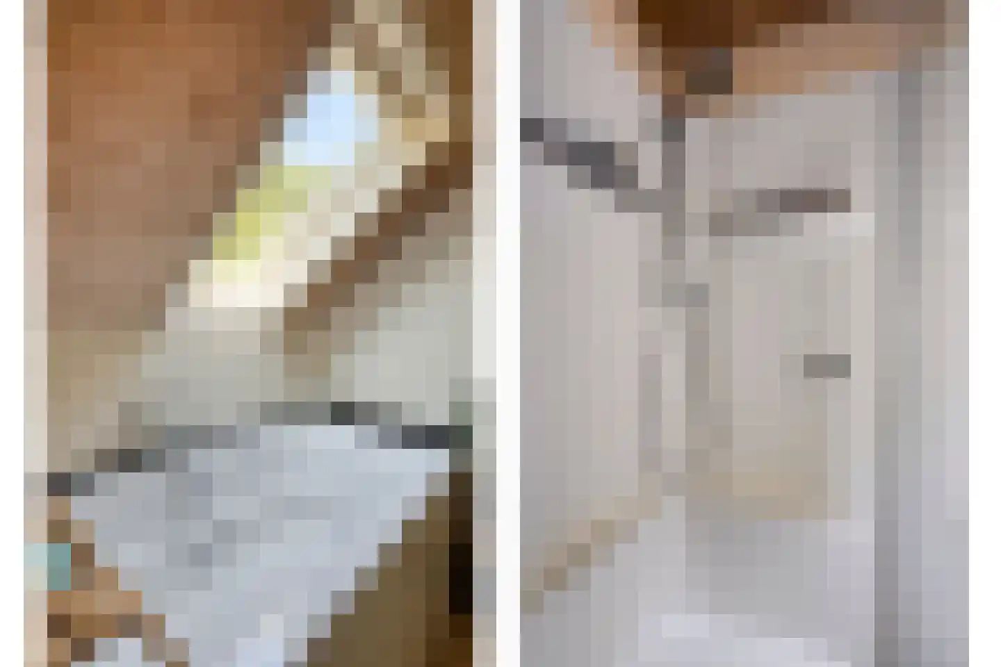 Vossehol 8 Cuijk thumbnail 31