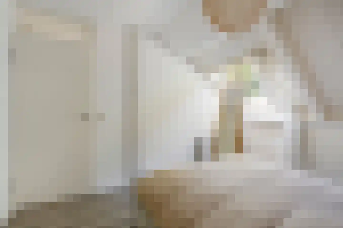 Vossehol 8 Cuijk thumbnail 33