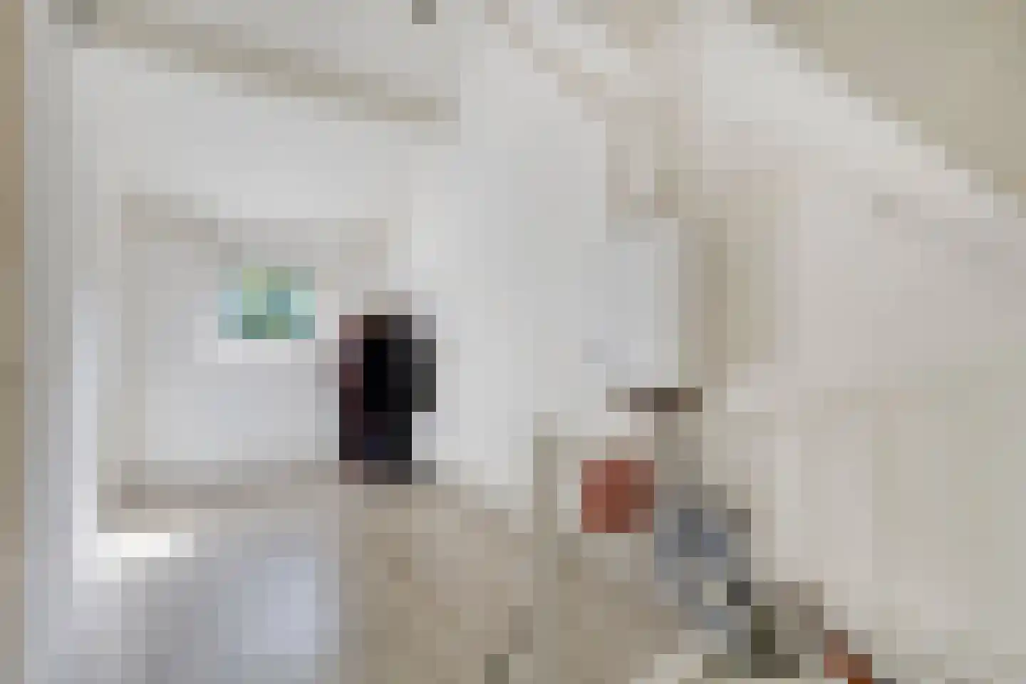 Vossehol 8 Cuijk thumbnail 35