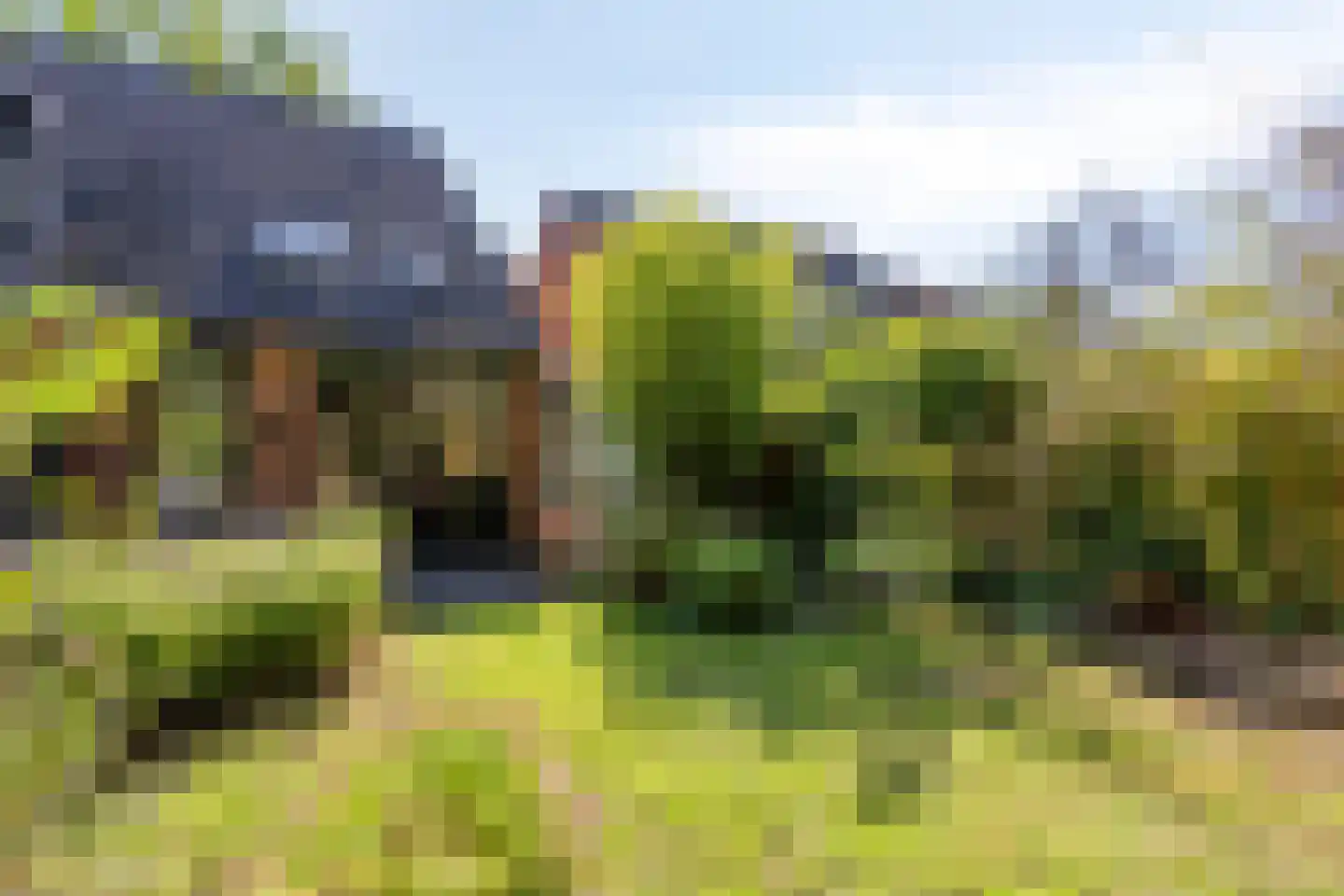 Vossehol 8 Cuijk thumbnail 38