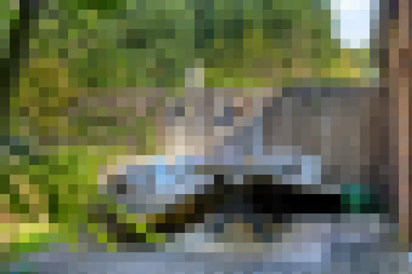 Vossehol 8 Cuijk thumbnail 40