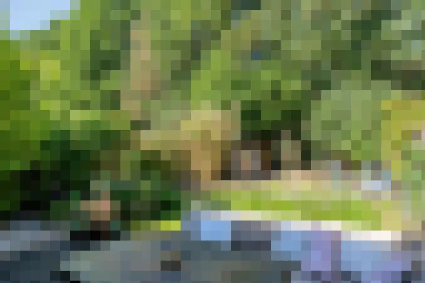 Vossehol 8 Cuijk thumbnail 41