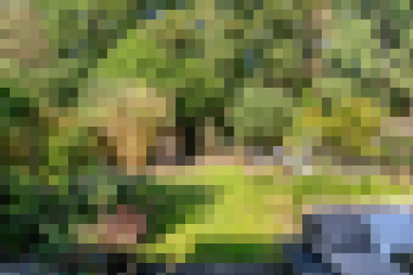 Vossehol 8 Cuijk thumbnail 42