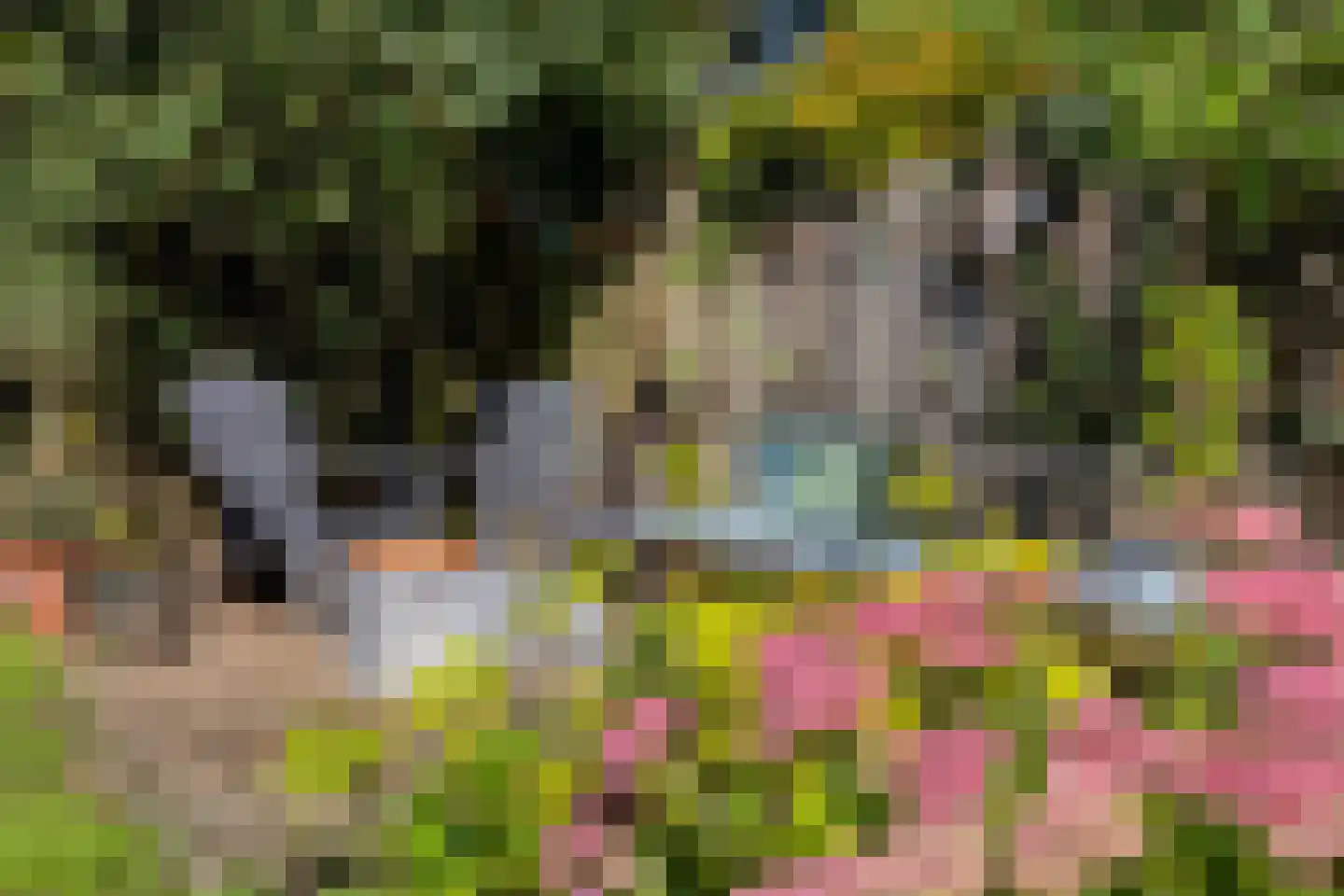 Vossehol 8 Cuijk thumbnail 43