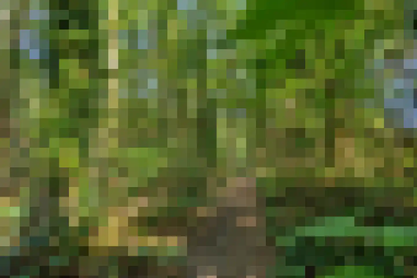 Vossehol 8 Cuijk thumbnail 45