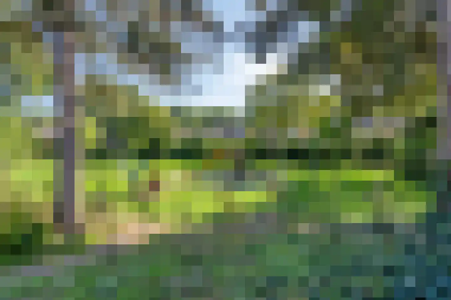 Vossehol 8 Cuijk thumbnail 46