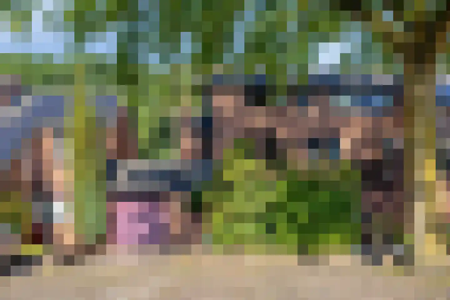 Vossehol 8 Cuijk thumbnail 6