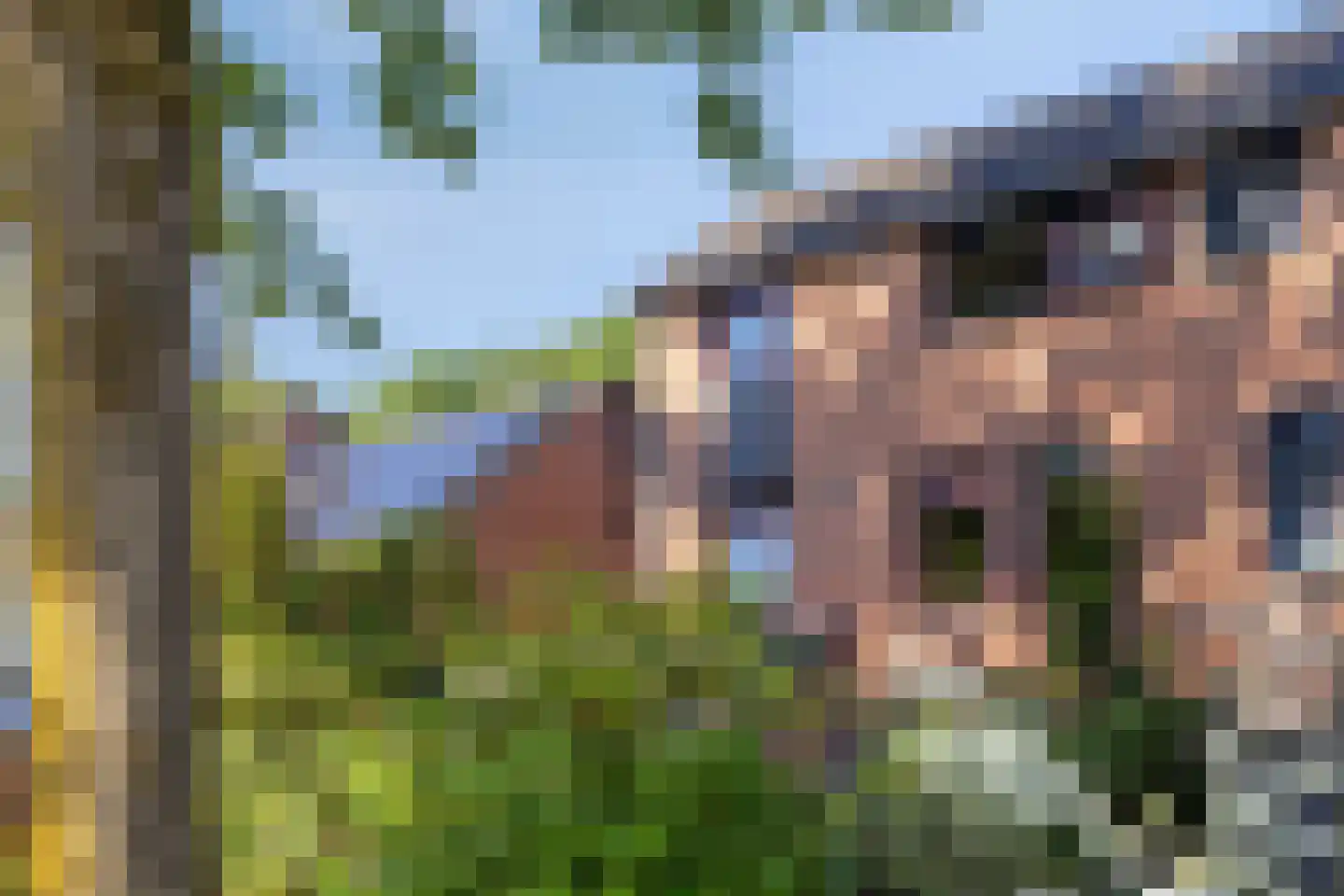 Vossehol 8 Cuijk thumbnail 8
