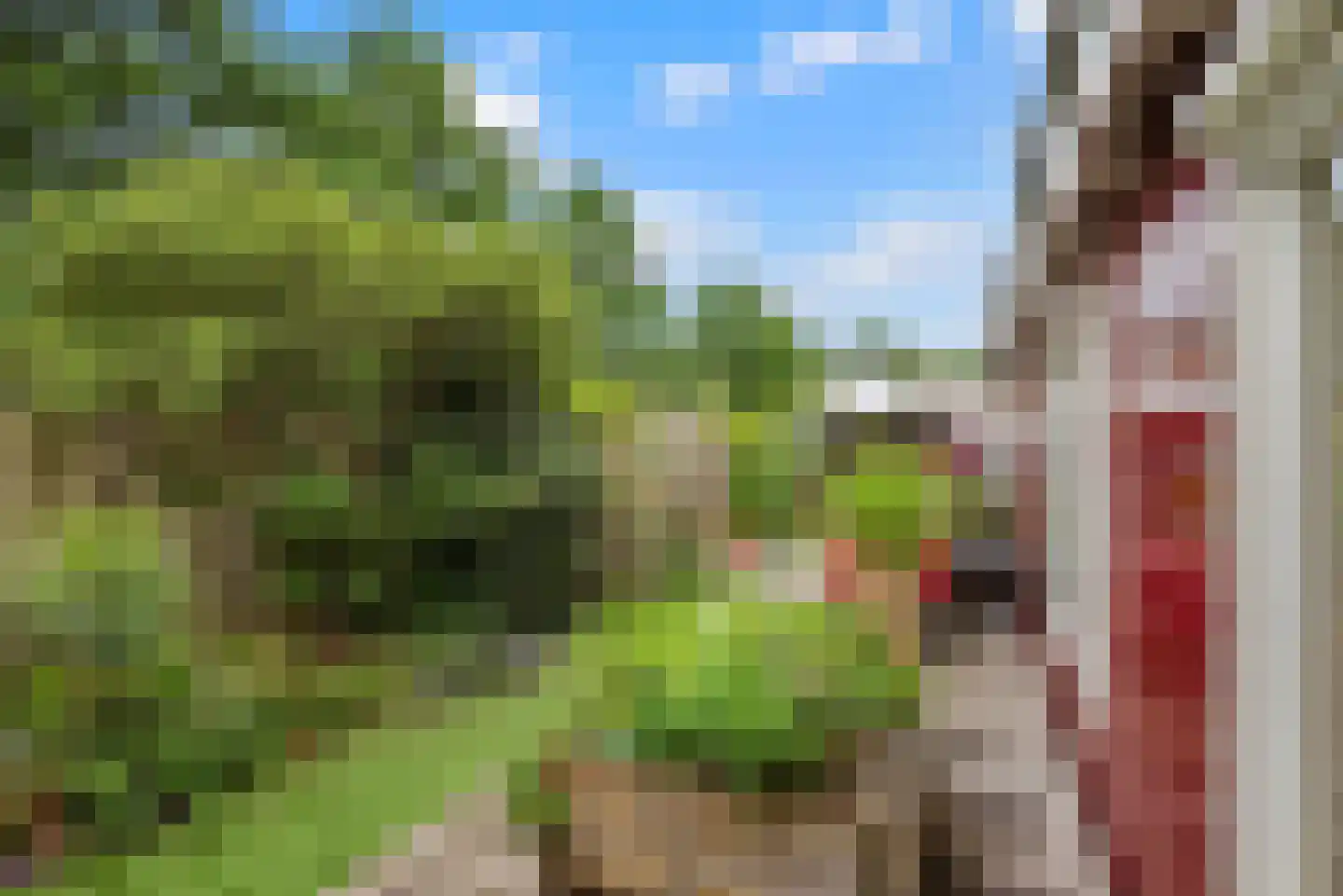 Vosselaan 61 Hillegom thumbnail 32