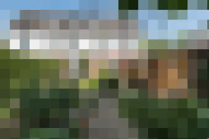 Vosselaan 84 Hillegom thumbnail 13
