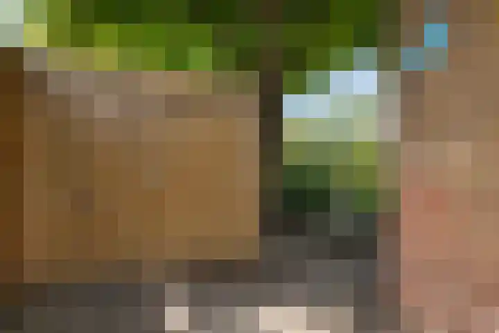 Vosselaan 84 Hillegom thumbnail 15