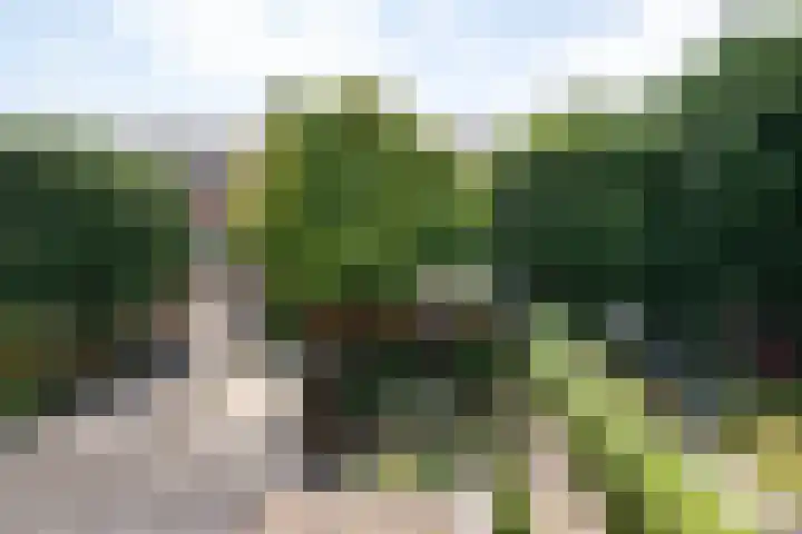 Vosselaan 84 Hillegom thumbnail 25