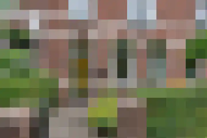 Vosselaan 84 Hillegom thumbnail 4