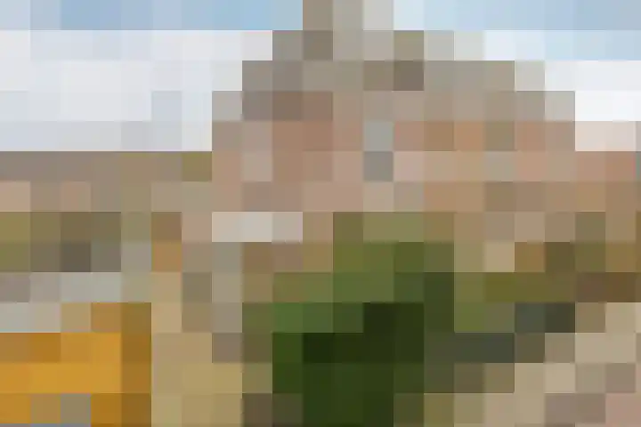 Vosselaan 86 in Hillegom