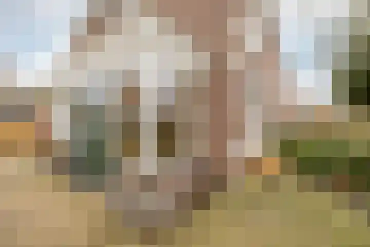 Vosselaan 86 Hillegom thumbnail 36